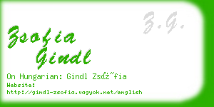 zsofia gindl business card